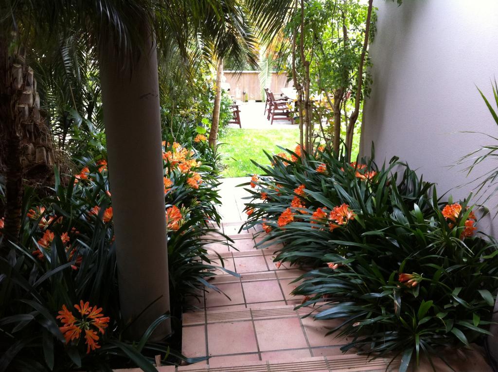 Palm Garden Apartment أوكلاند المظهر الخارجي الصورة